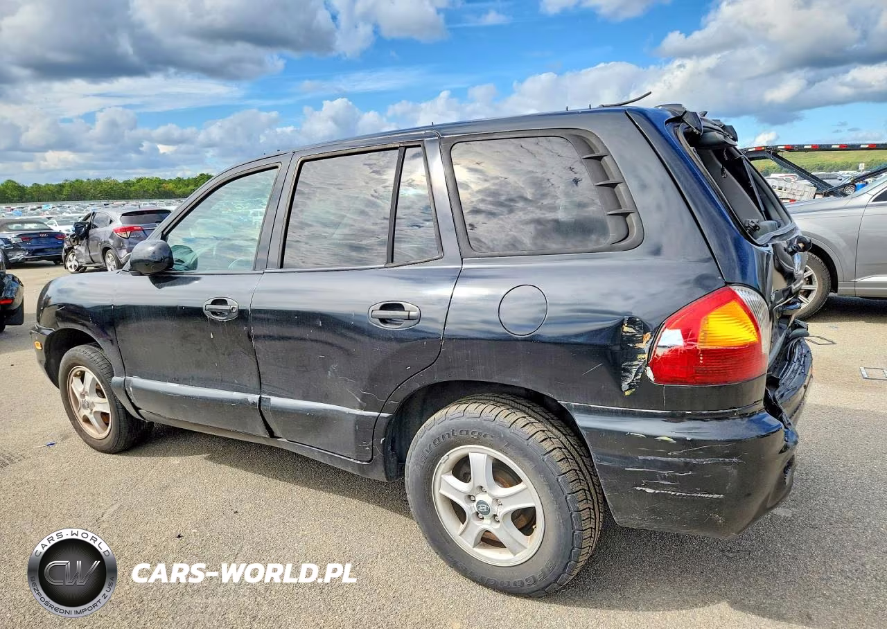 2004 Hyundai Santa Fe Gls VIN:KM8SC13D54U739170 - 2