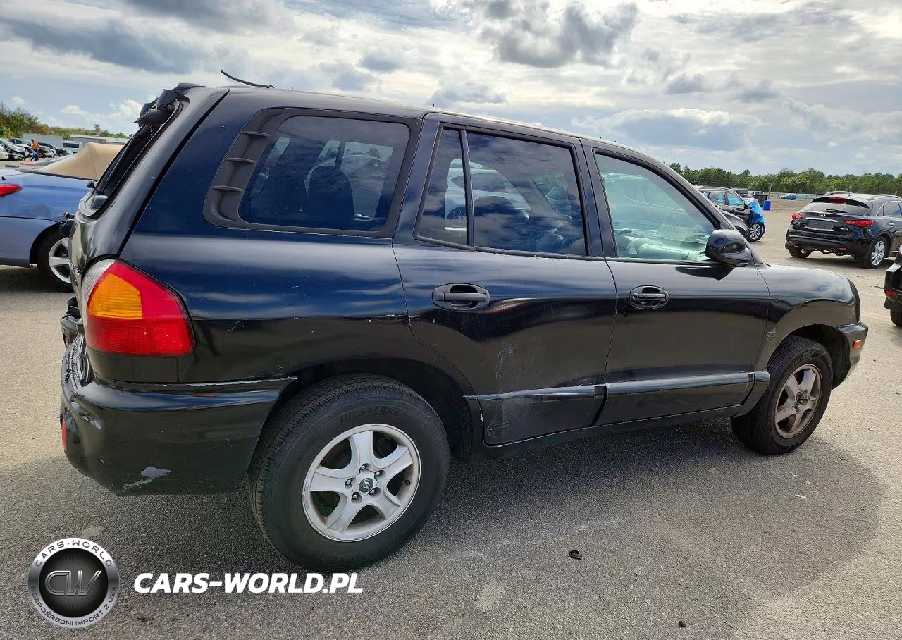 2004 Hyundai Santa Fe Gls VIN:KM8SC13D54U739170 - 3