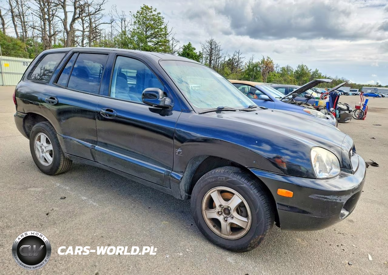 2004 Hyundai Santa Fe Gls VIN:KM8SC13D54U739170 - 4