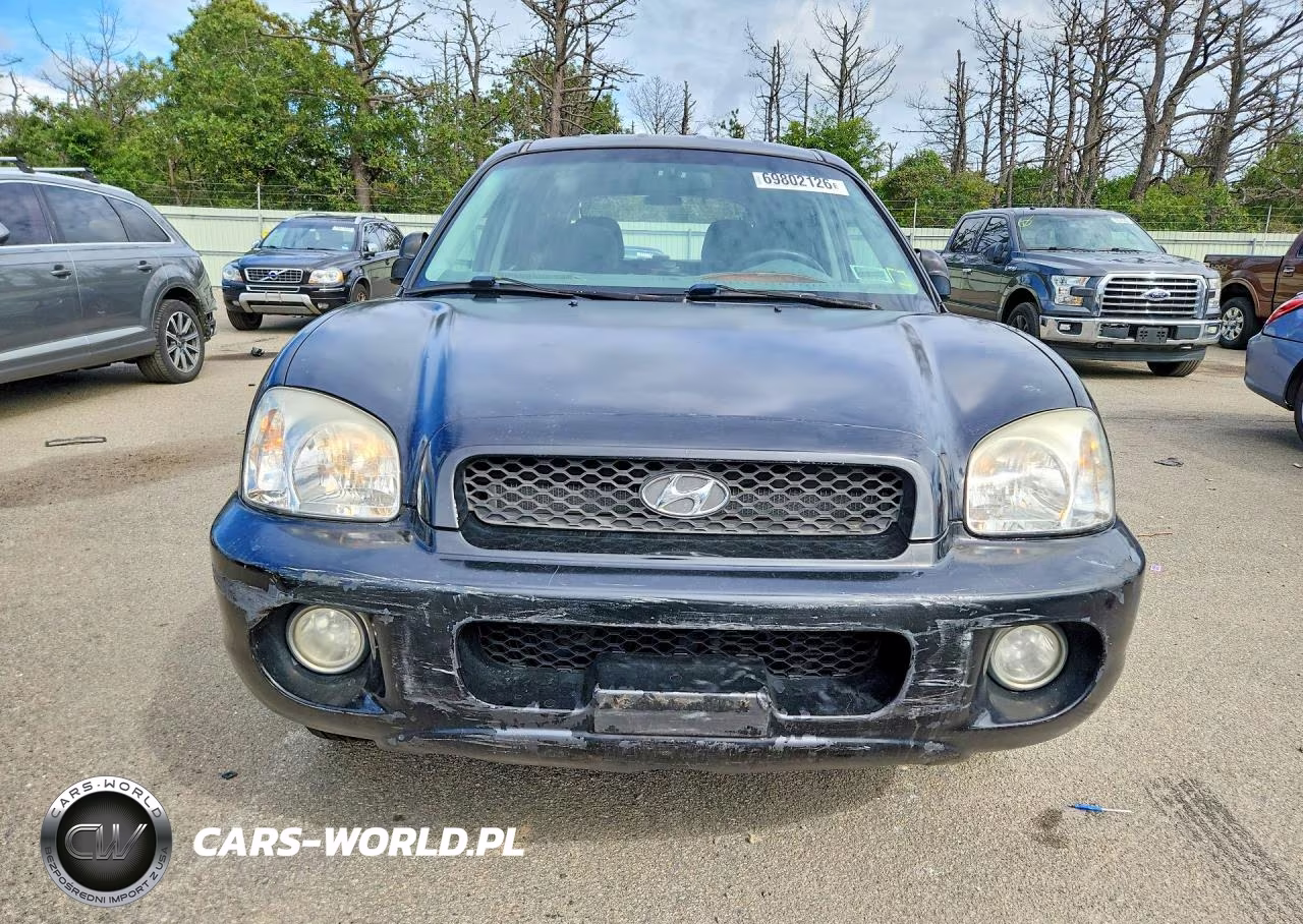 2004 Hyundai Santa Fe Gls VIN:KM8SC13D54U739170 - 5