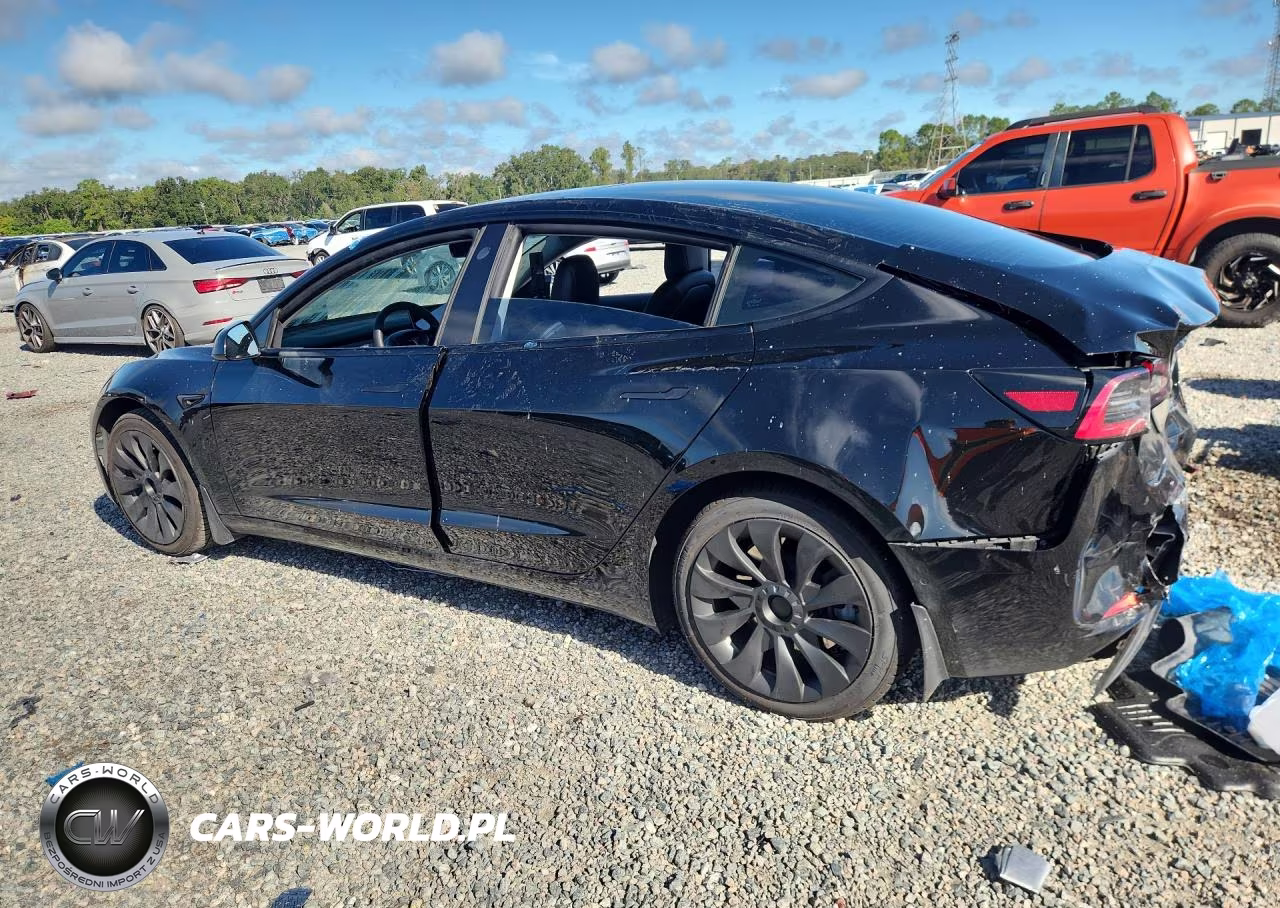 2021 Tesla Model 3 VIN:5YJ3E1EA2MF977282 - 2