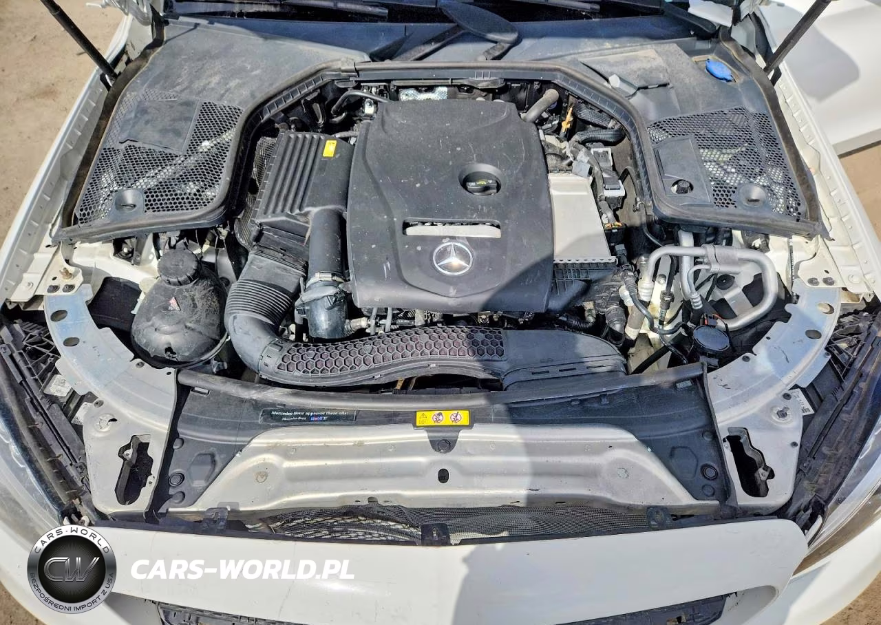 2018 Mercedes-Benz C 300 VIN:WDDWK4JB0JF669157 - 11