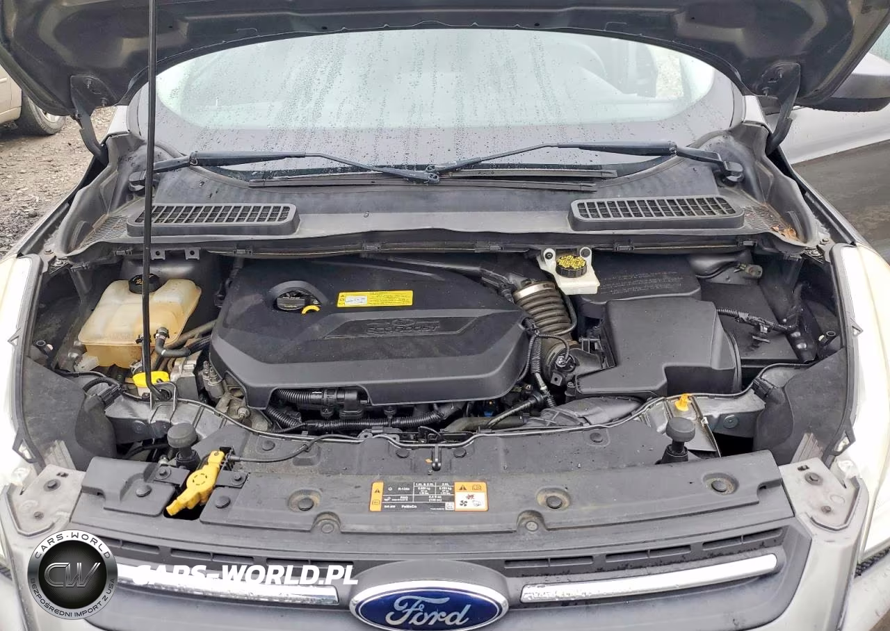 2014 Ford Escape Se VIN:1FMCU0GX0EUD19625 - 11