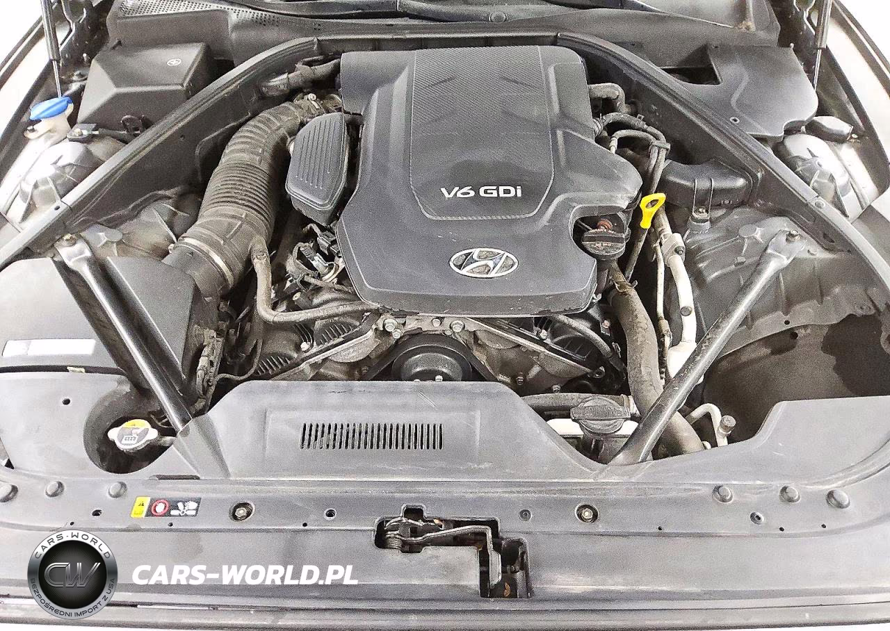 2016 Hyundai Genesis 3.8L VIN:KMHGN4JE8GU111301 - 11