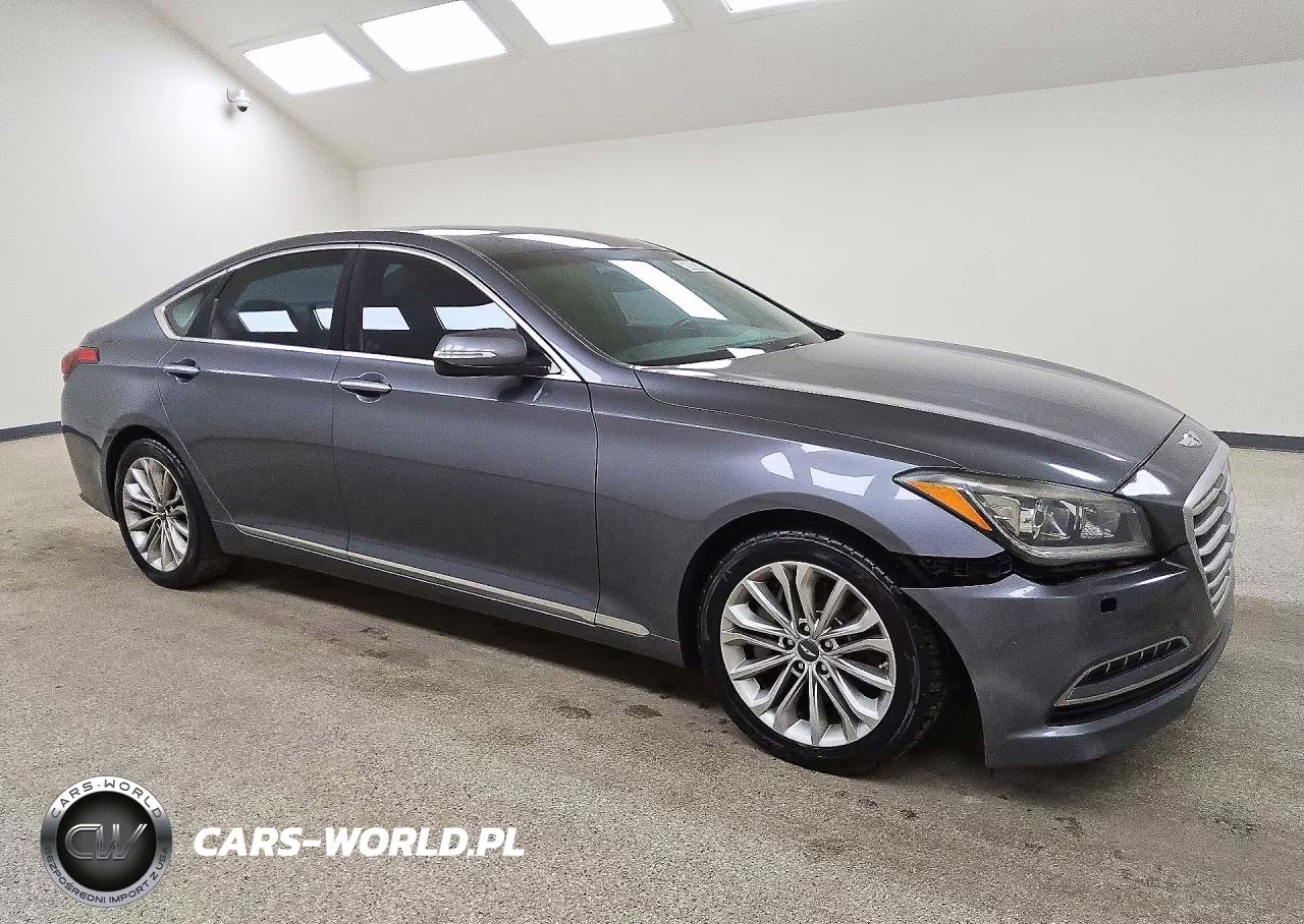 2016 Hyundai Genesis 3.8L VIN:KMHGN4JE8GU111301 - 4