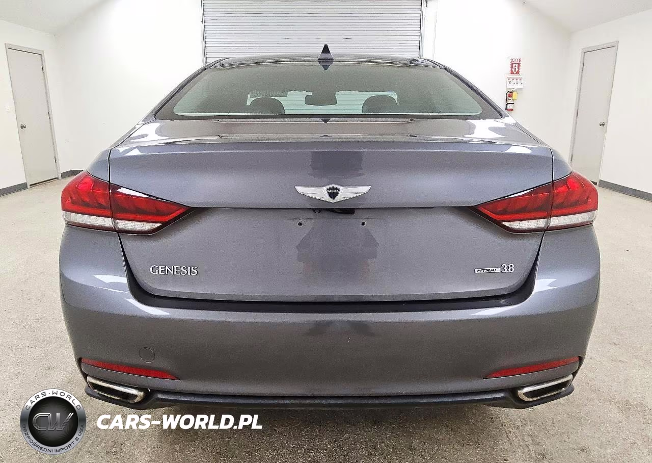 2016 Hyundai Genesis 3.8L VIN:KMHGN4JE8GU111301 - 6