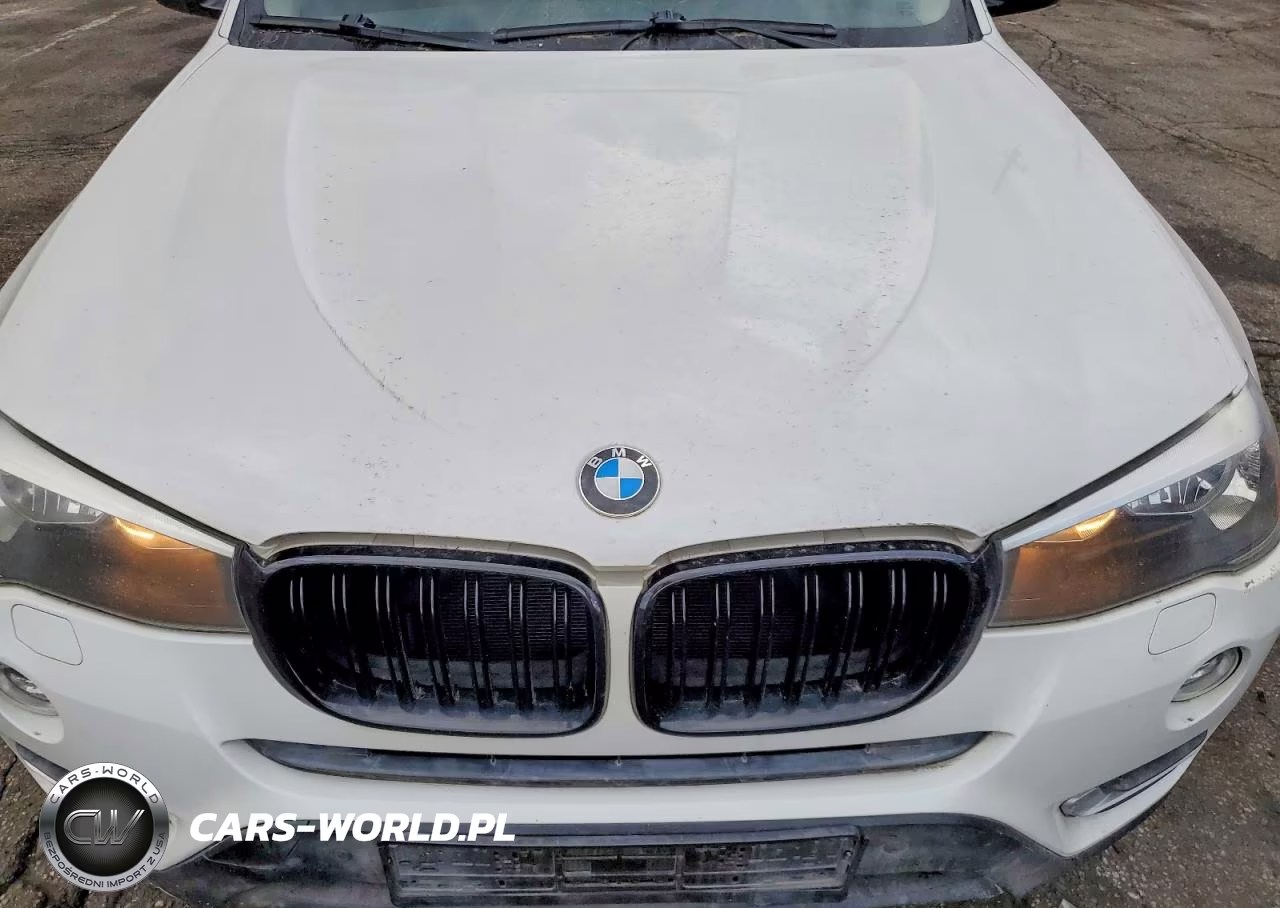 2015 BMW X3 xDrive28I VIN:5UXWX9C5XF0D47198 - 11