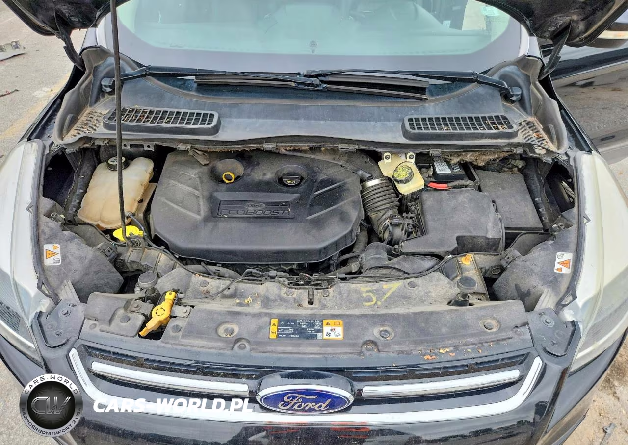 2013 Ford Escape VIN:1FMCU9J95DUC69897 - 12