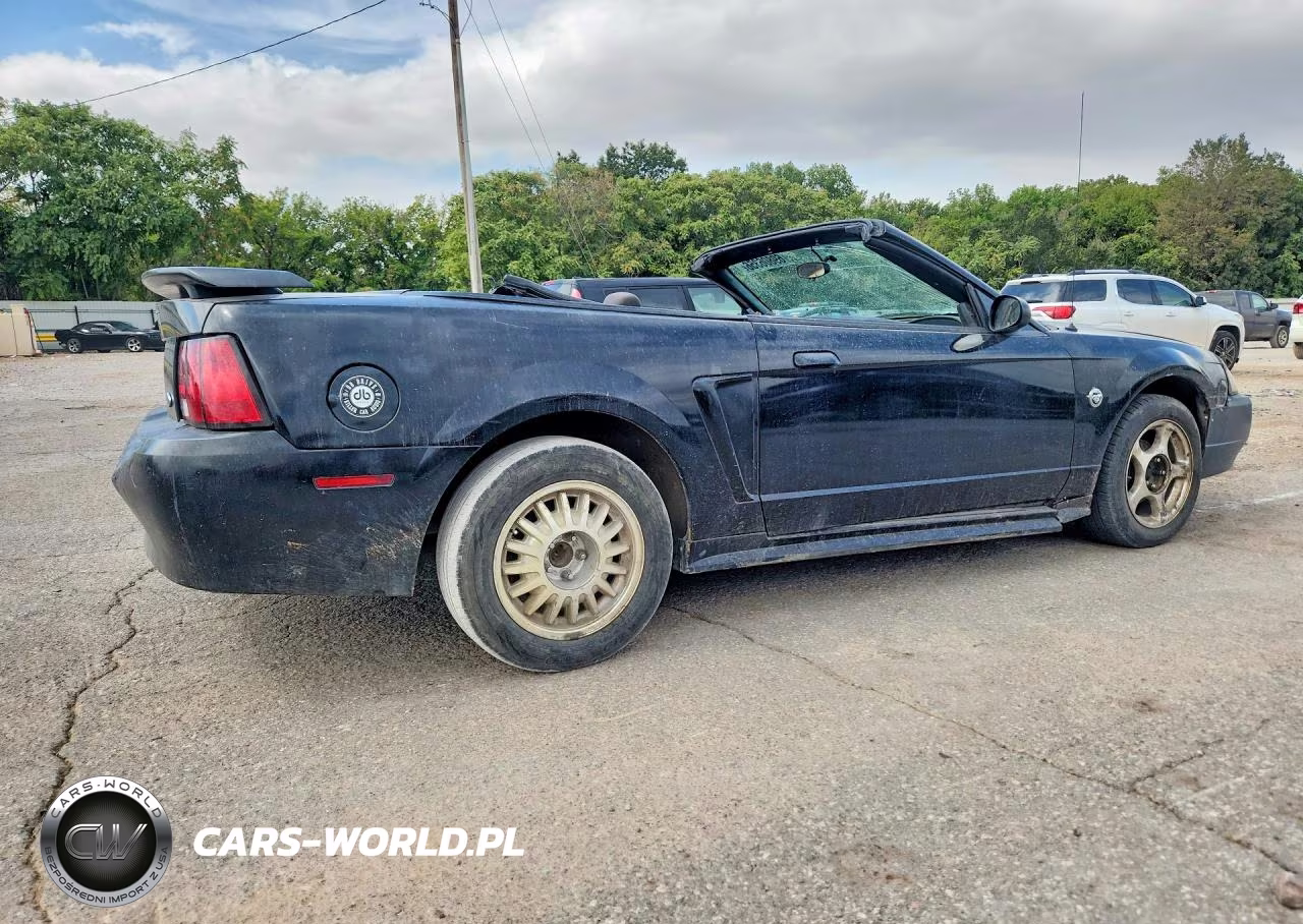 2004 Ford Mustang Convertible VIN:1FAFP44634F154805 - 3
