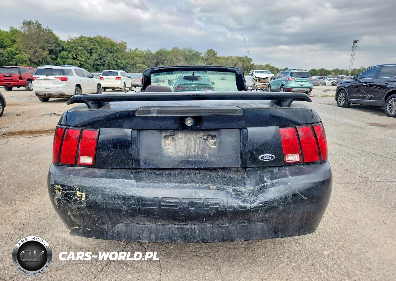 2004 Ford Mustang Convertible VIN:1FAFP44634F154805 - 6