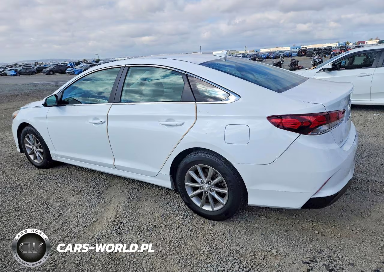 2019 Hyundai Sonata Se VIN:5NPE24AF2KH765632 - 2