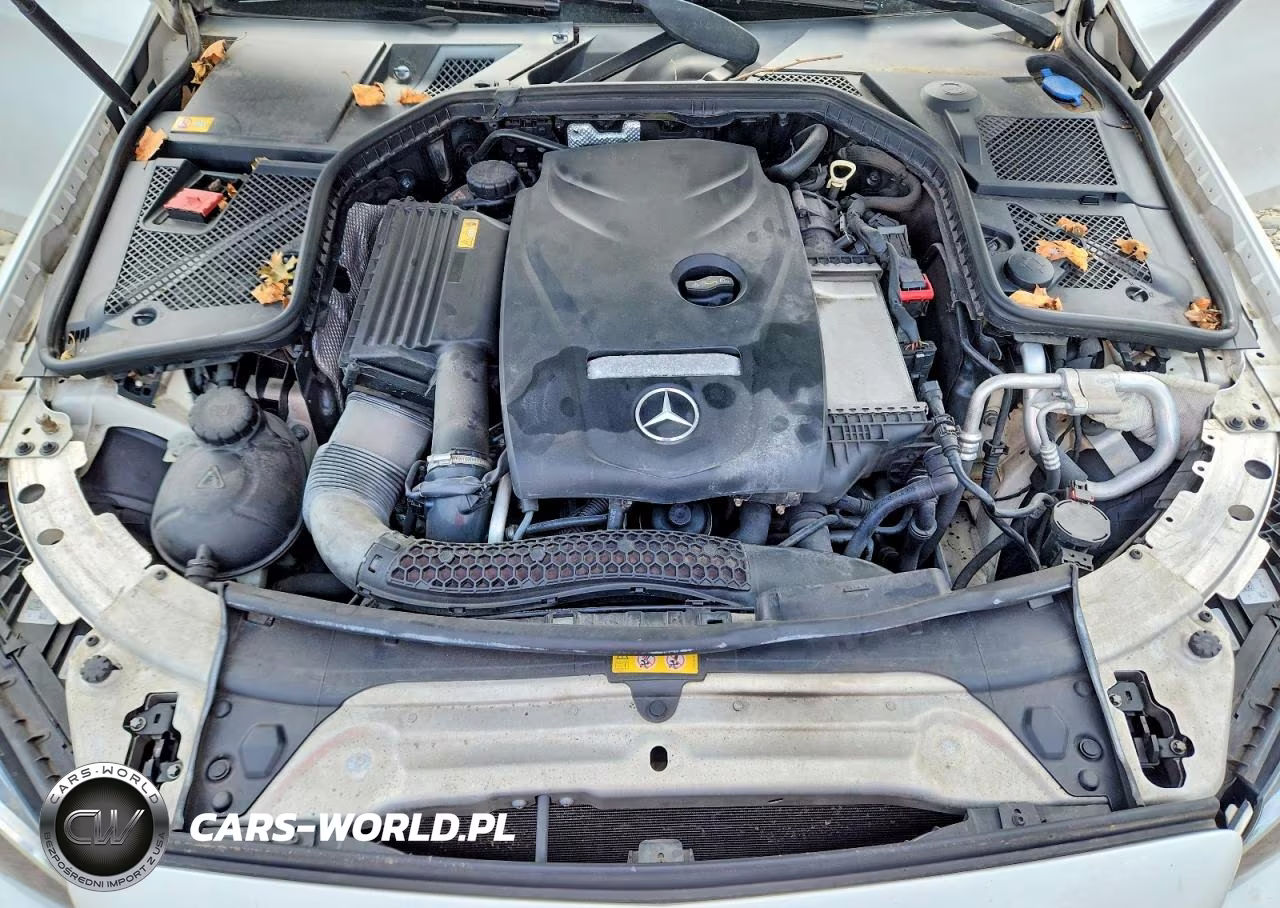 2015 Mercedes-Benz C 300 4Matic VIN:55SWF4KB4FU008934 - 11