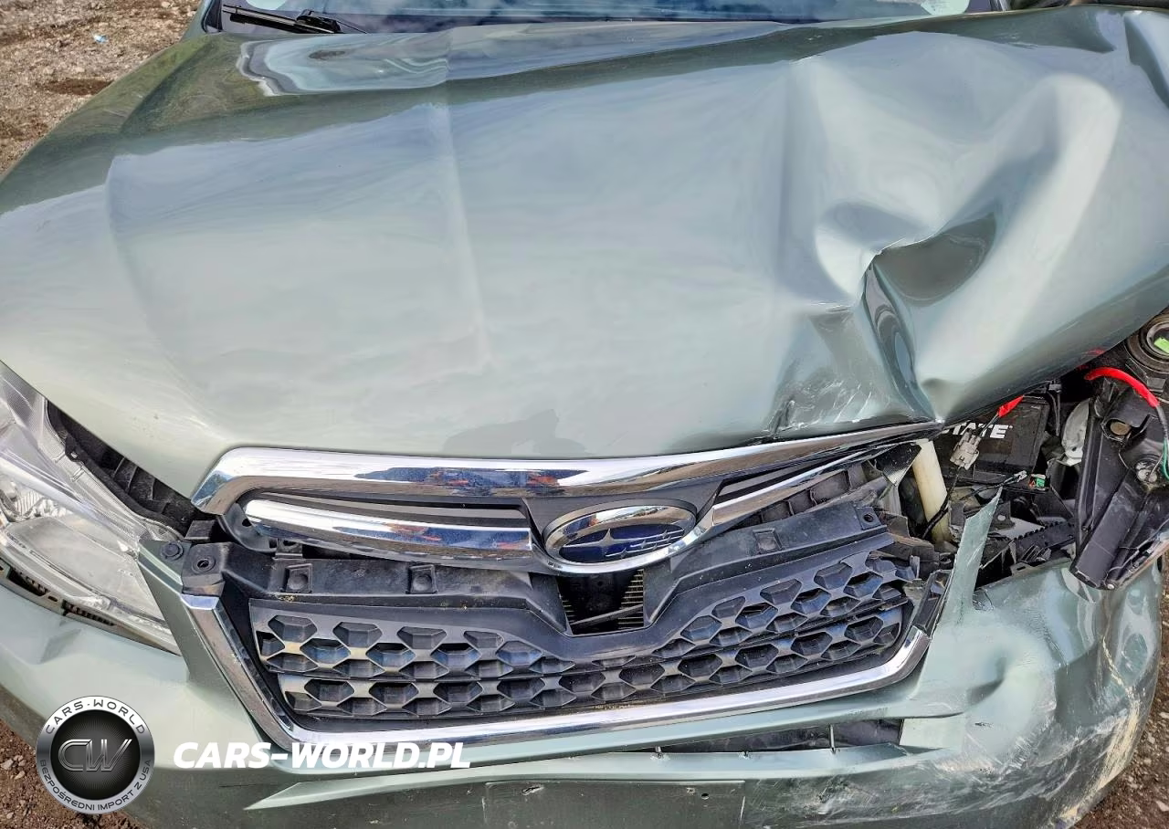 2015 Subaru Forester 2.5I Premium VIN:JF2SJADCXFH418593 - 12