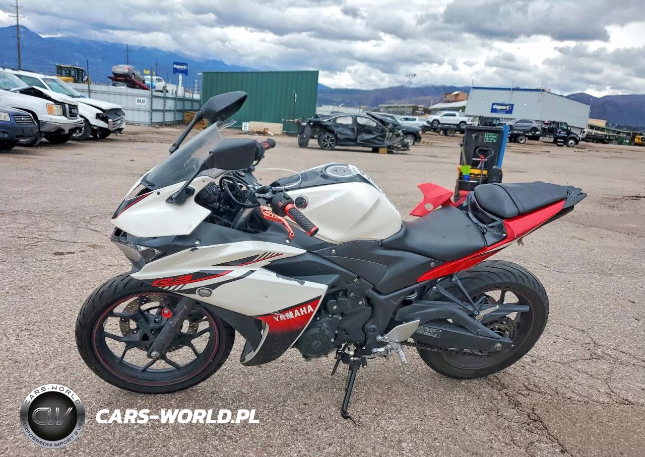 2016 Yamaha Yzfr3 VIN:MH3RH06Y7GK011445 - 3
