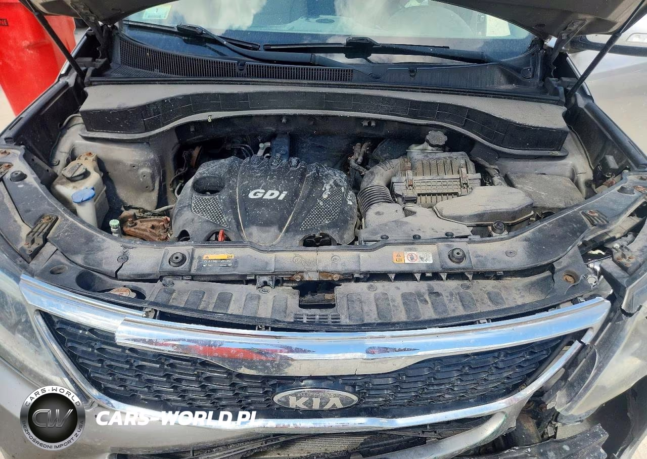 2014 Kia Sorento Lx VIN:5XYKT3A65EG531300 - 12