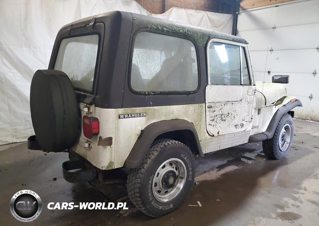 1989 Jeep Wrangler - Yj VIN:2J4FY19E1KJ169856 - 3