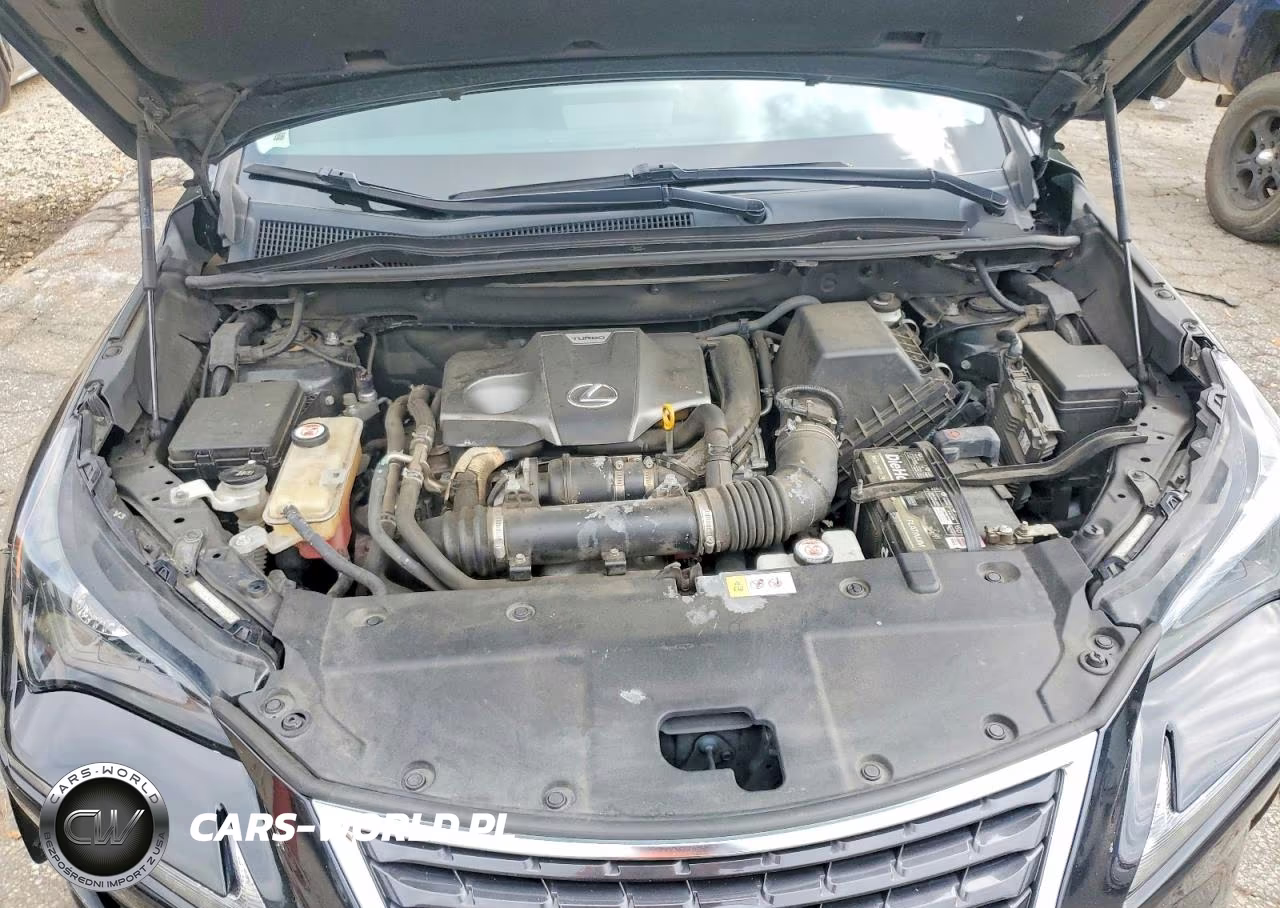 2018 Lexus Nx 300 Base VIN:JTJYARBZ7J2087012 - 11