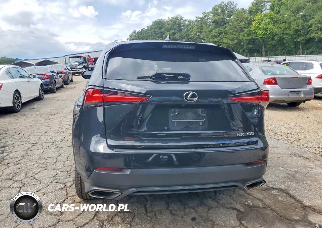 2018 Lexus Nx 300 Base VIN:JTJYARBZ7J2087012 - 6