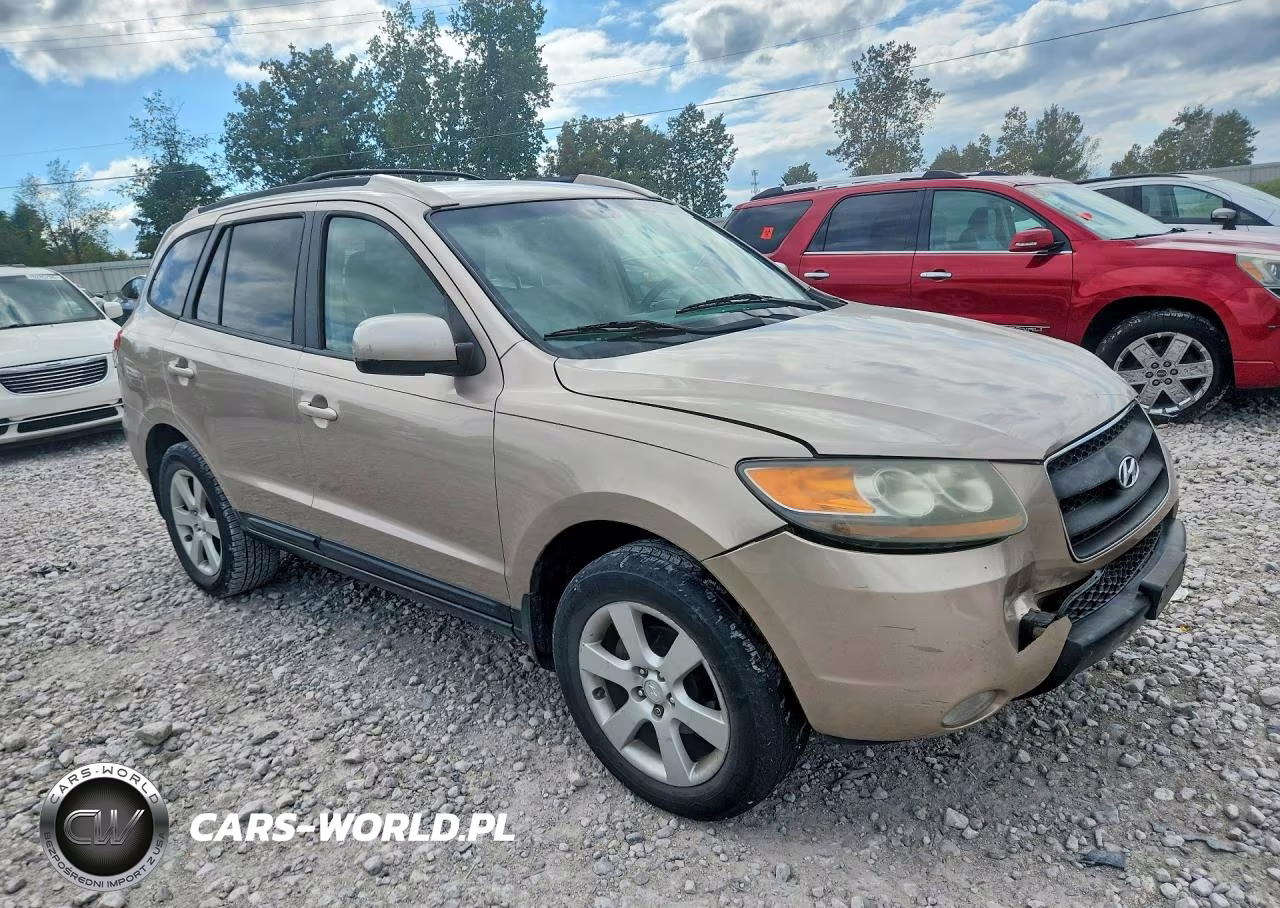 2007 Hyundai Santa Fe VIN:5NMSH73E77H040989 - 4