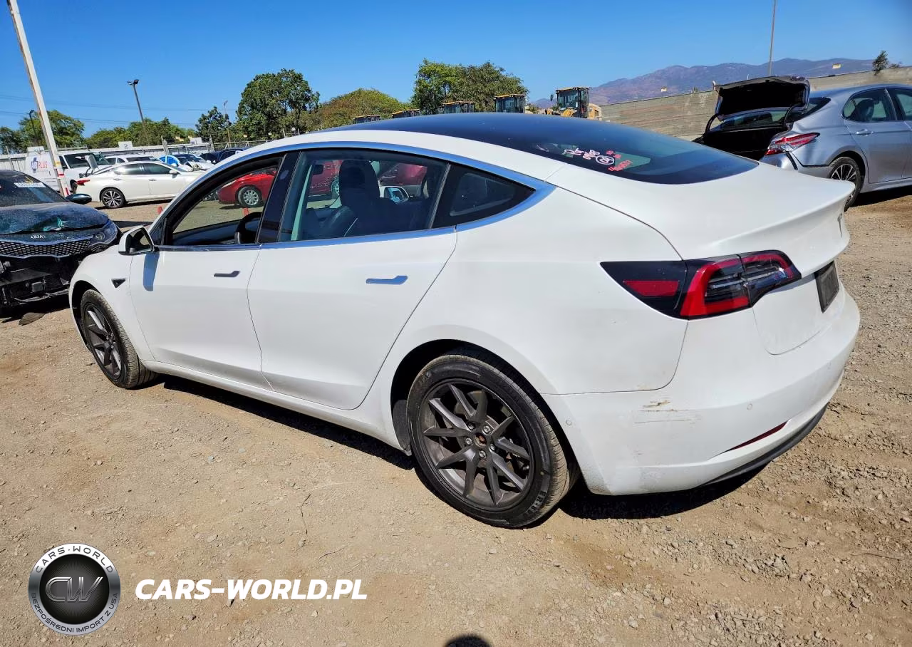 2019 Tesla Model 3 VIN:5YJ3E1EAXKF425249 - 2