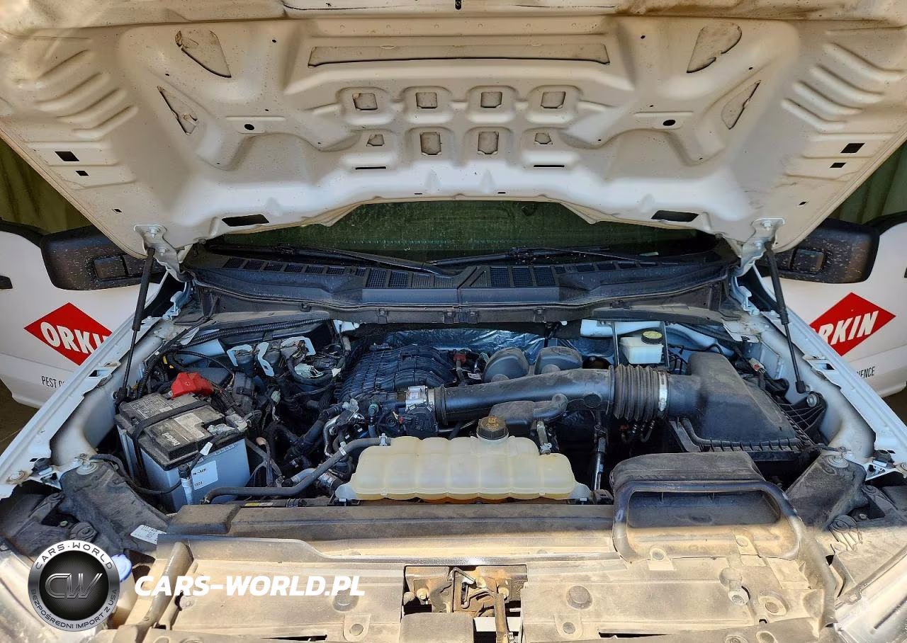 2021 Ford F150 VIN:1FTMF1CB5MKE08006 - 11