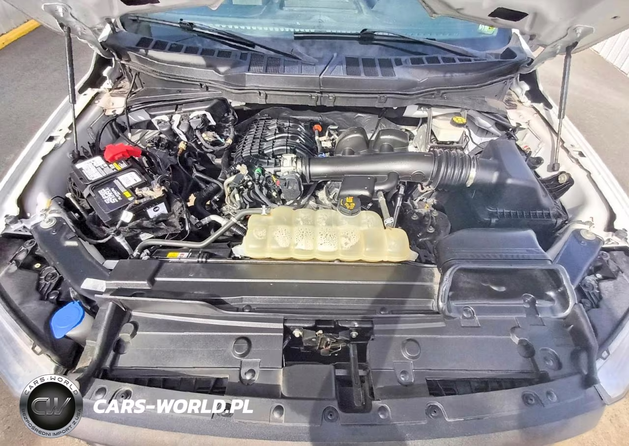 2021 Ford F150 VIN:1FTMF1CB7MKE69924 - 11