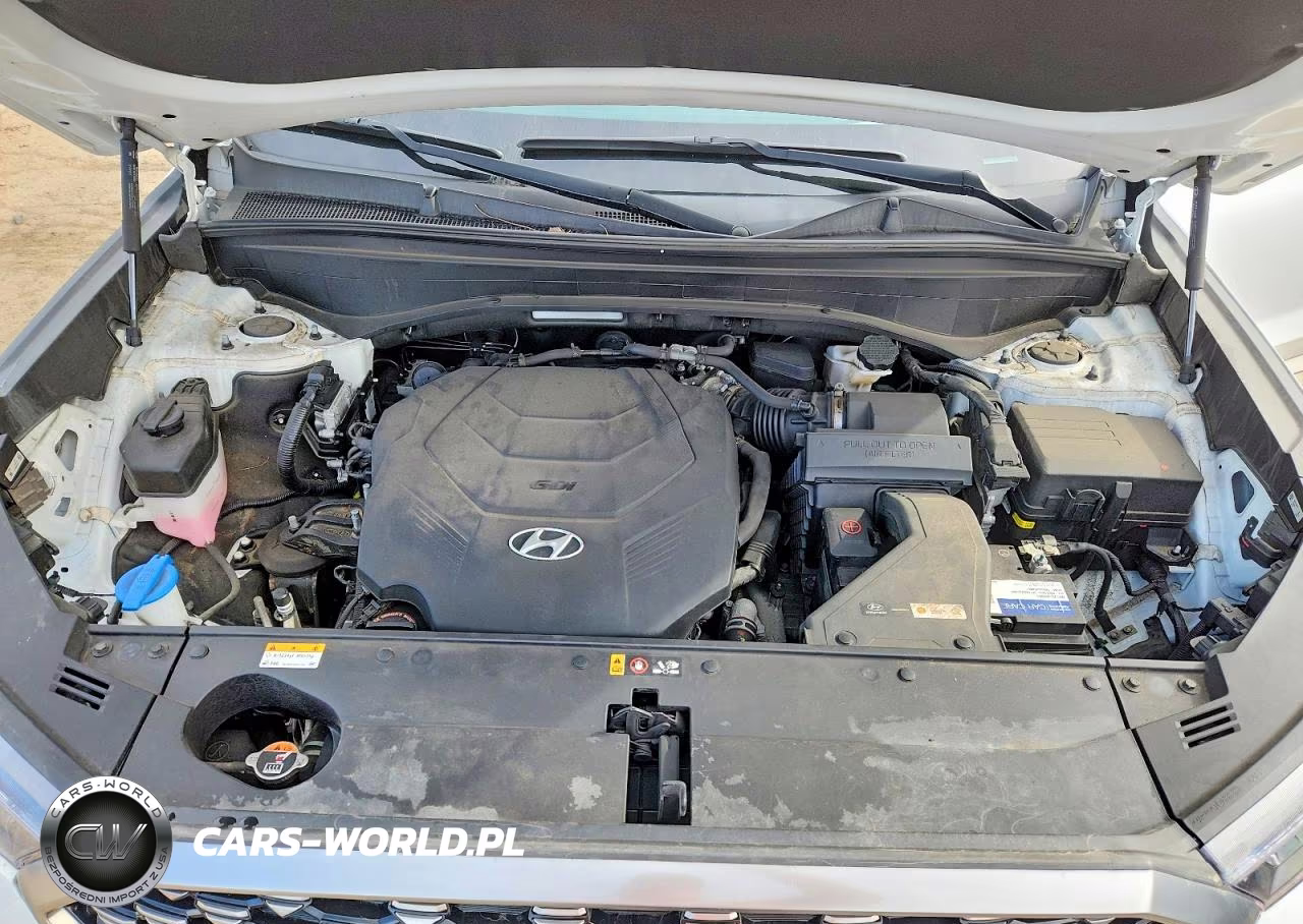 2022 Hyundai Palisade Calligraphy VIN:KM8R7DHE2NU352647 - 12