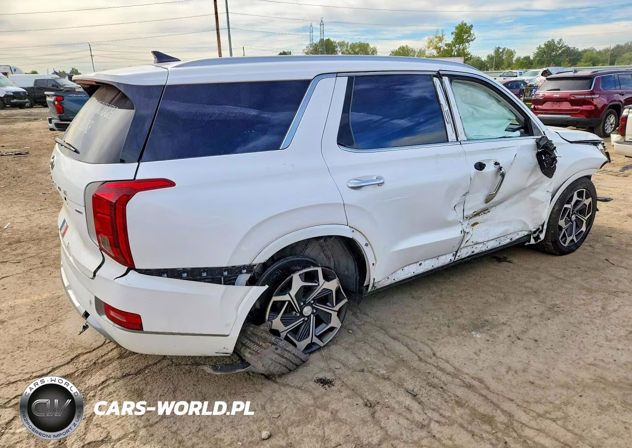 2022 Hyundai Palisade Calligraphy VIN:KM8R7DHE2NU352647 - 3