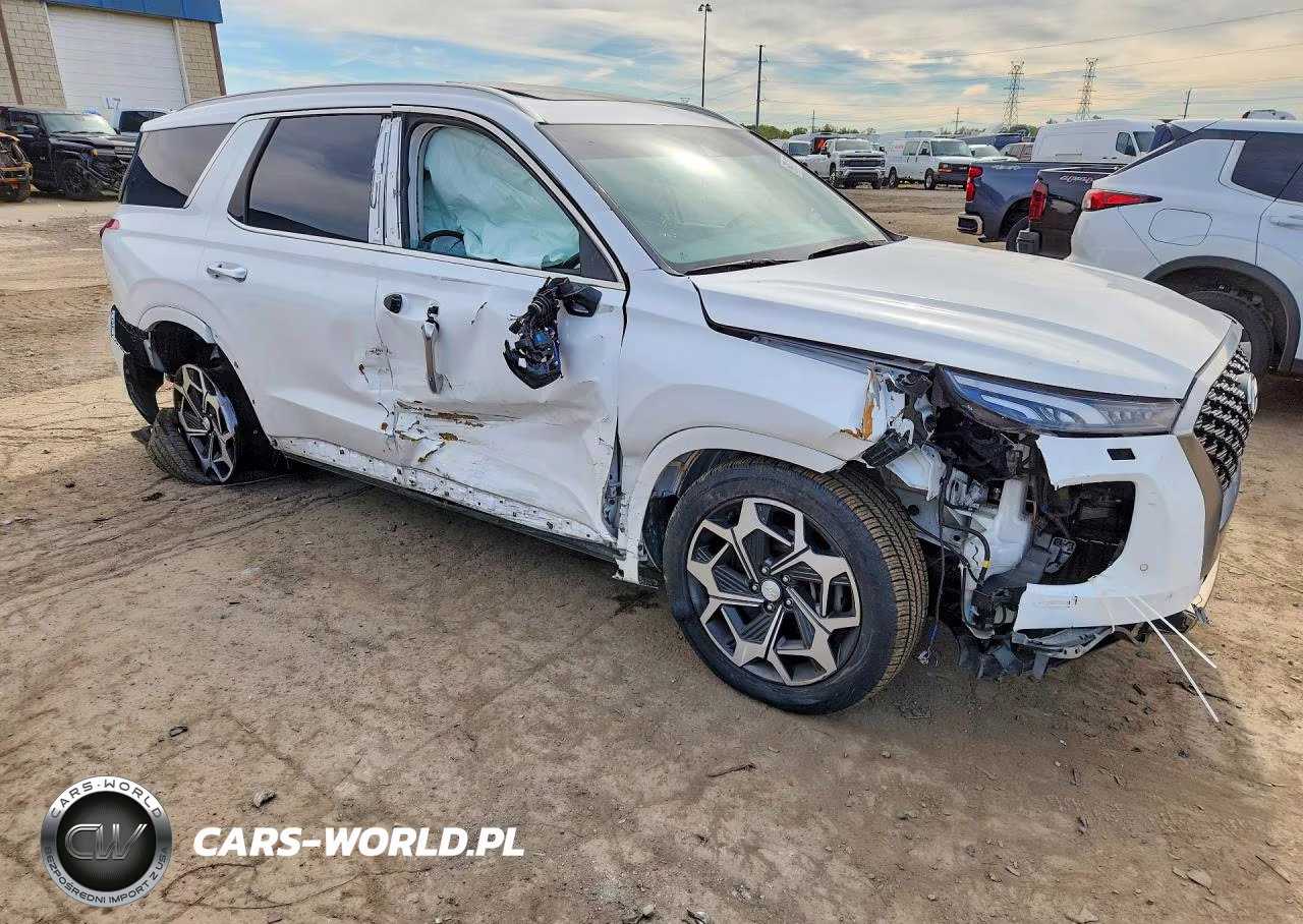 2022 Hyundai Palisade Calligraphy VIN:KM8R7DHE2NU352647 - 4