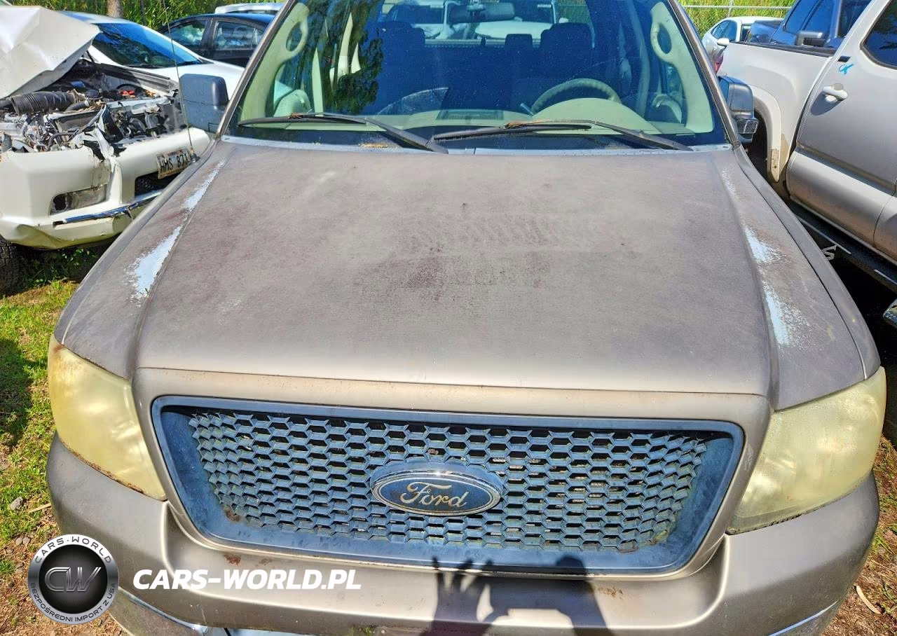 2004 Ford F150 Supercrew VIN:1FTRW12W24KD10349 - 11