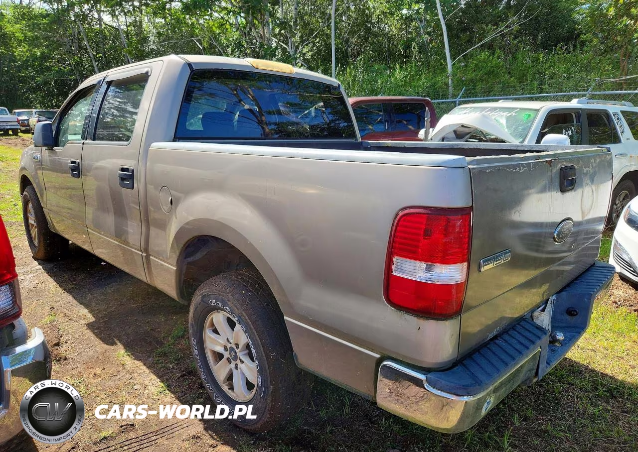 2004 Ford F150 Supercrew VIN:1FTRW12W24KD10349 - 2