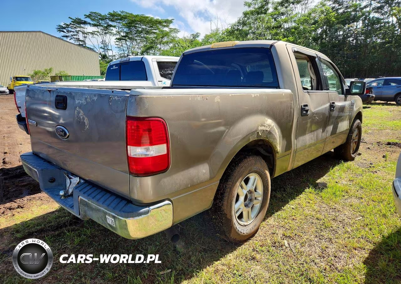 2004 Ford F150 Supercrew VIN:1FTRW12W24KD10349 - 3
