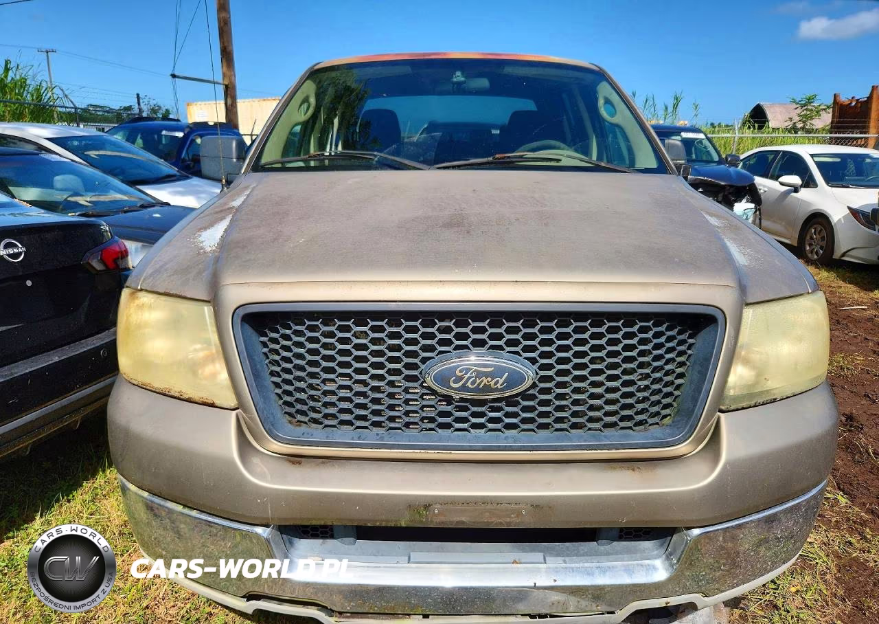 2004 Ford F150 Supercrew VIN:1FTRW12W24KD10349 - 5