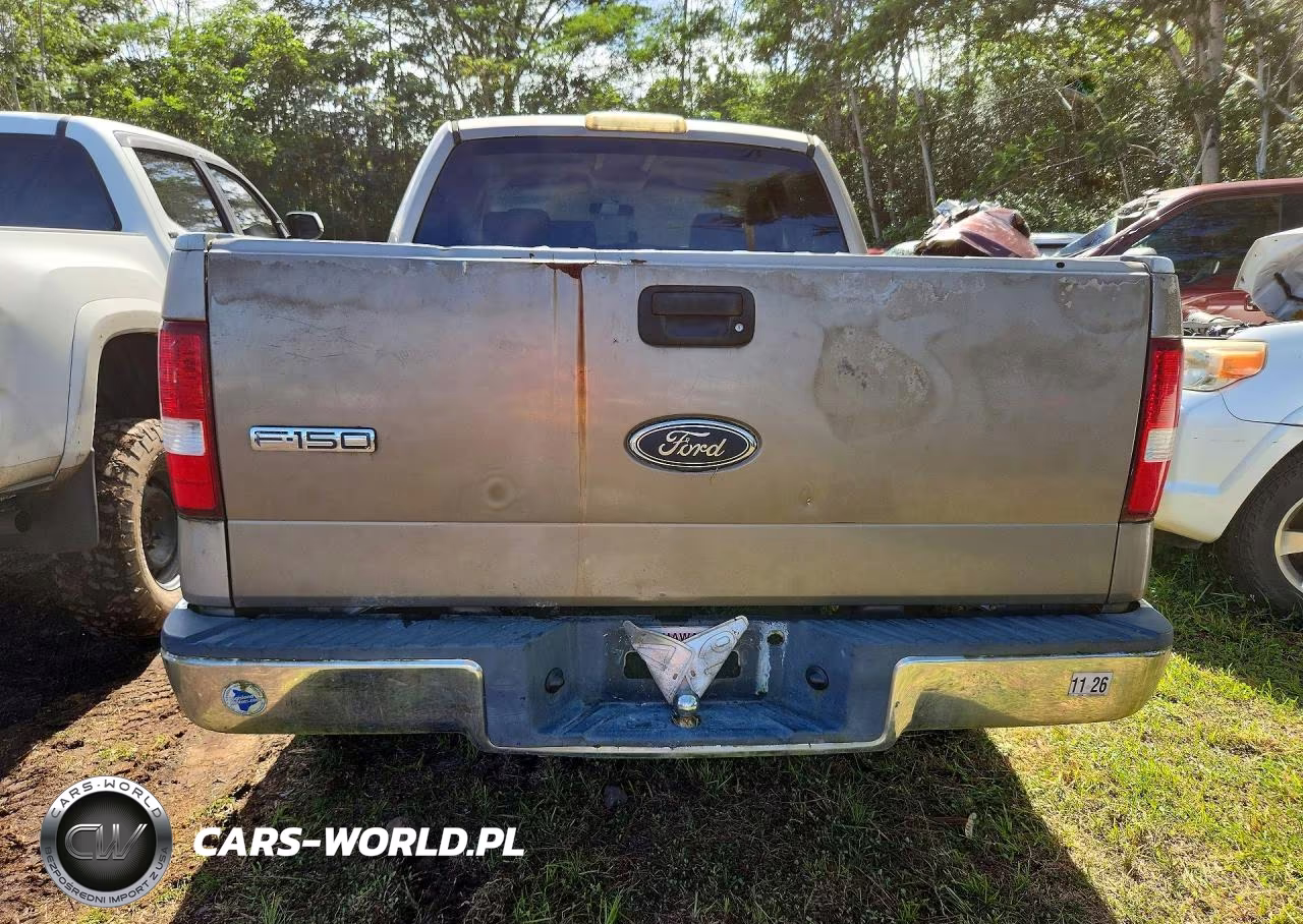 2004 Ford F150 Supercrew VIN:1FTRW12W24KD10349 - 6