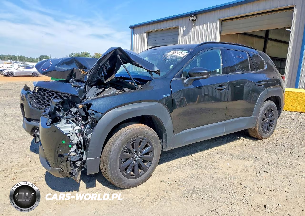 2025 Mazda Cx-50 Premium VIN:7MMVAADW0SN132799 - 1