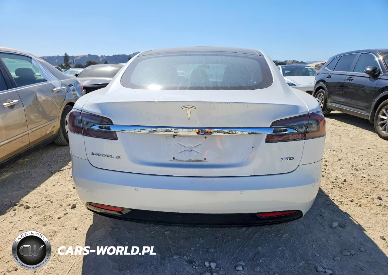 2016 Tesla Model S VIN:5YJSA1E20GF170781 - 6