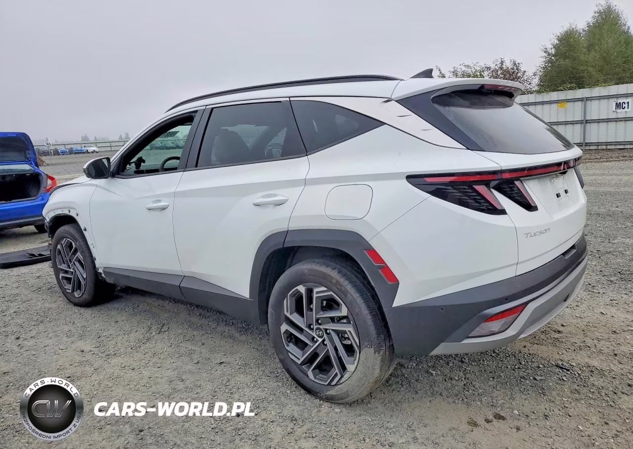 2025 Hyundai Tucson Limited VIN:KM8JEDD15SU290095 - 2