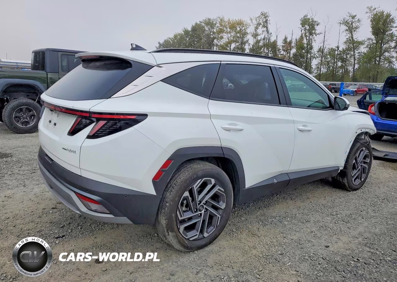 2025 Hyundai Tucson Limited VIN:KM8JEDD15SU290095 - 3