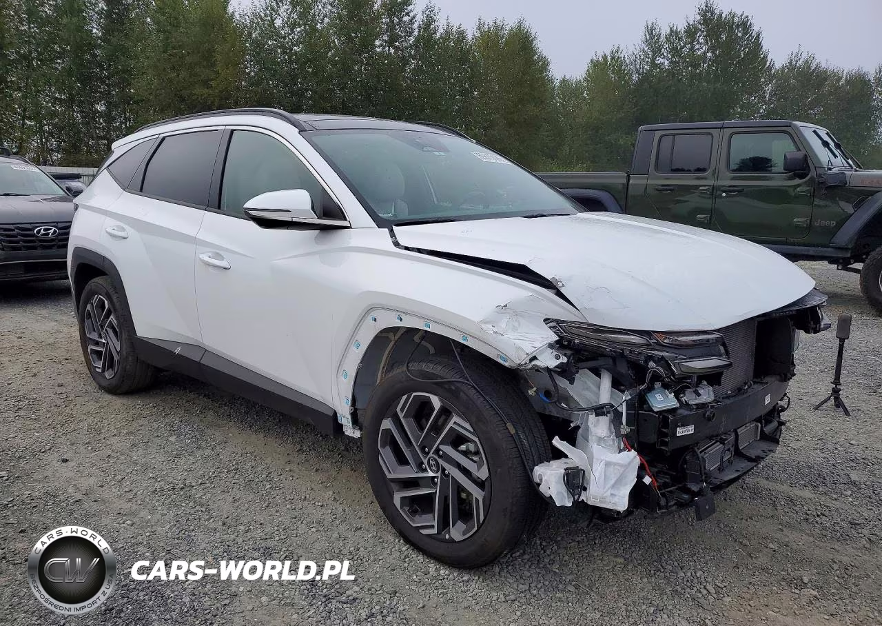 2025 Hyundai Tucson Limited VIN:KM8JEDD15SU290095 - 4