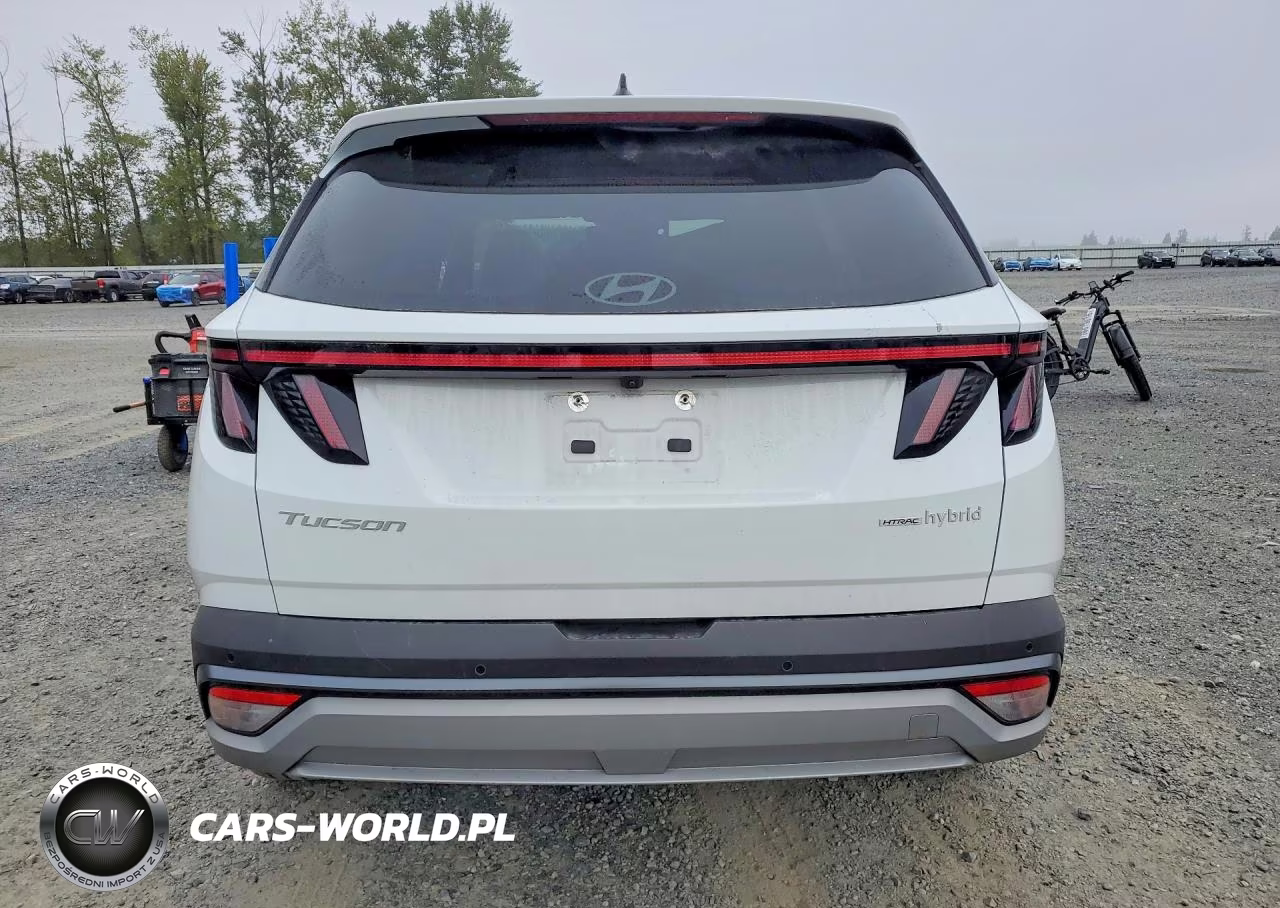 2025 Hyundai Tucson Limited VIN:KM8JEDD15SU290095 - 6