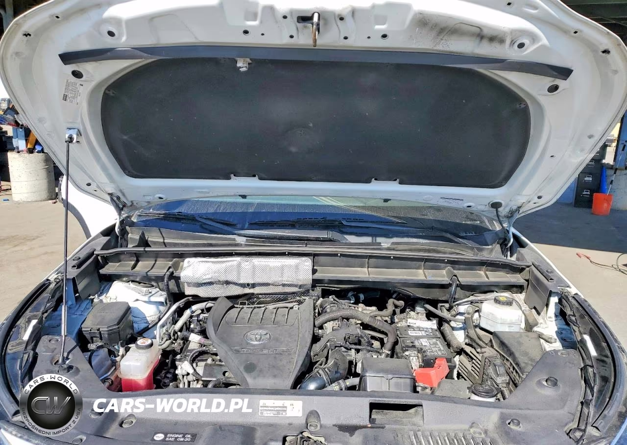 2023 Toyota Highlander L VIN:5TDKDRAH0PS008760 - 12