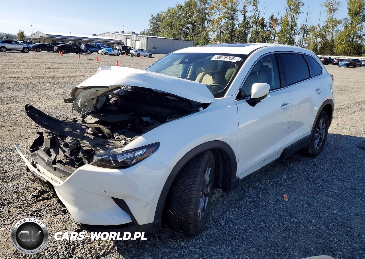 2021 Mazda Cx-9 Touring VIN:JM3TCBCYXM0537540 - 1