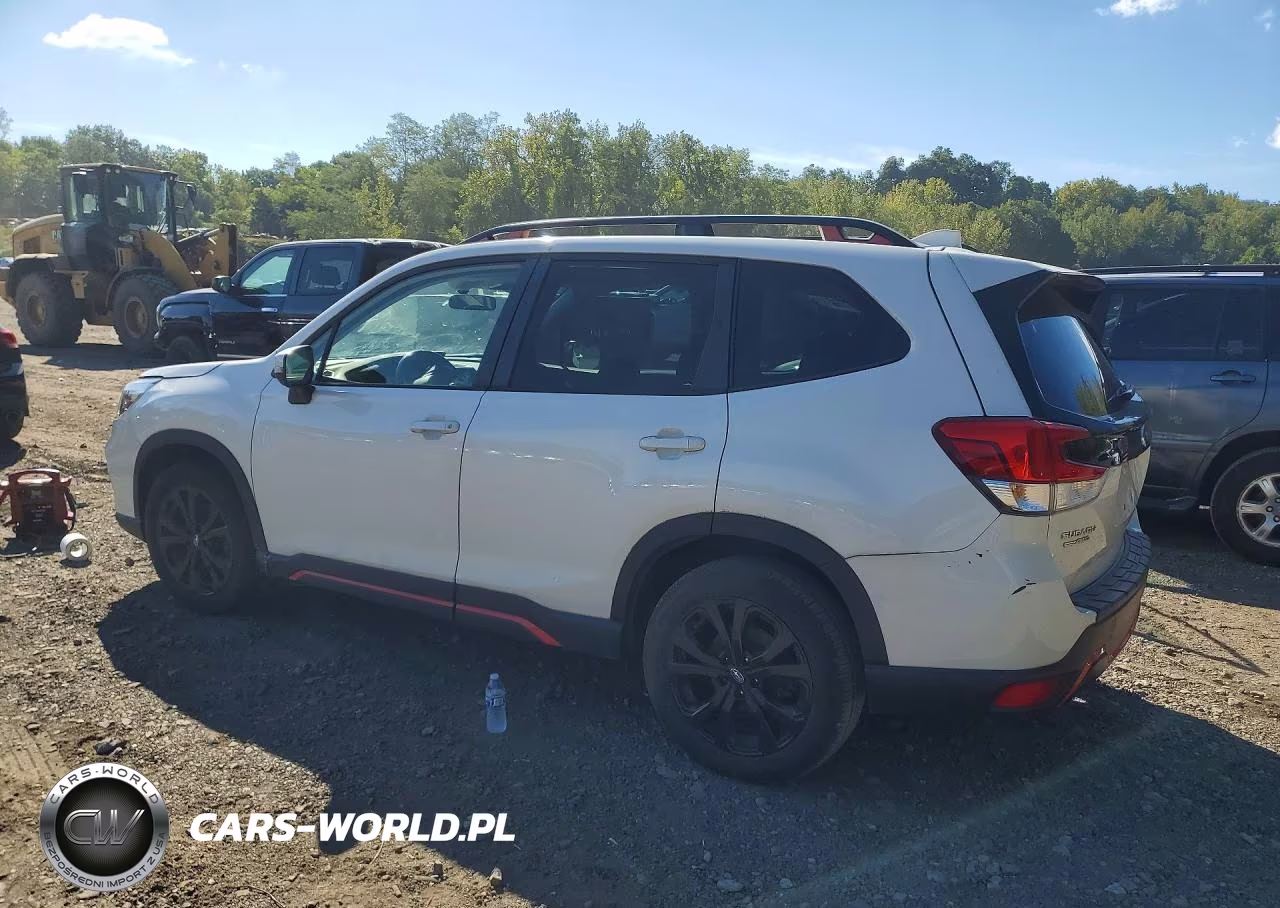 2020 Subaru Forester Sport VIN:JF2SKALC8LH491925 - 2