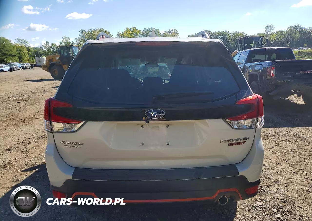 2020 Subaru Forester Sport VIN:JF2SKALC8LH491925 - 6