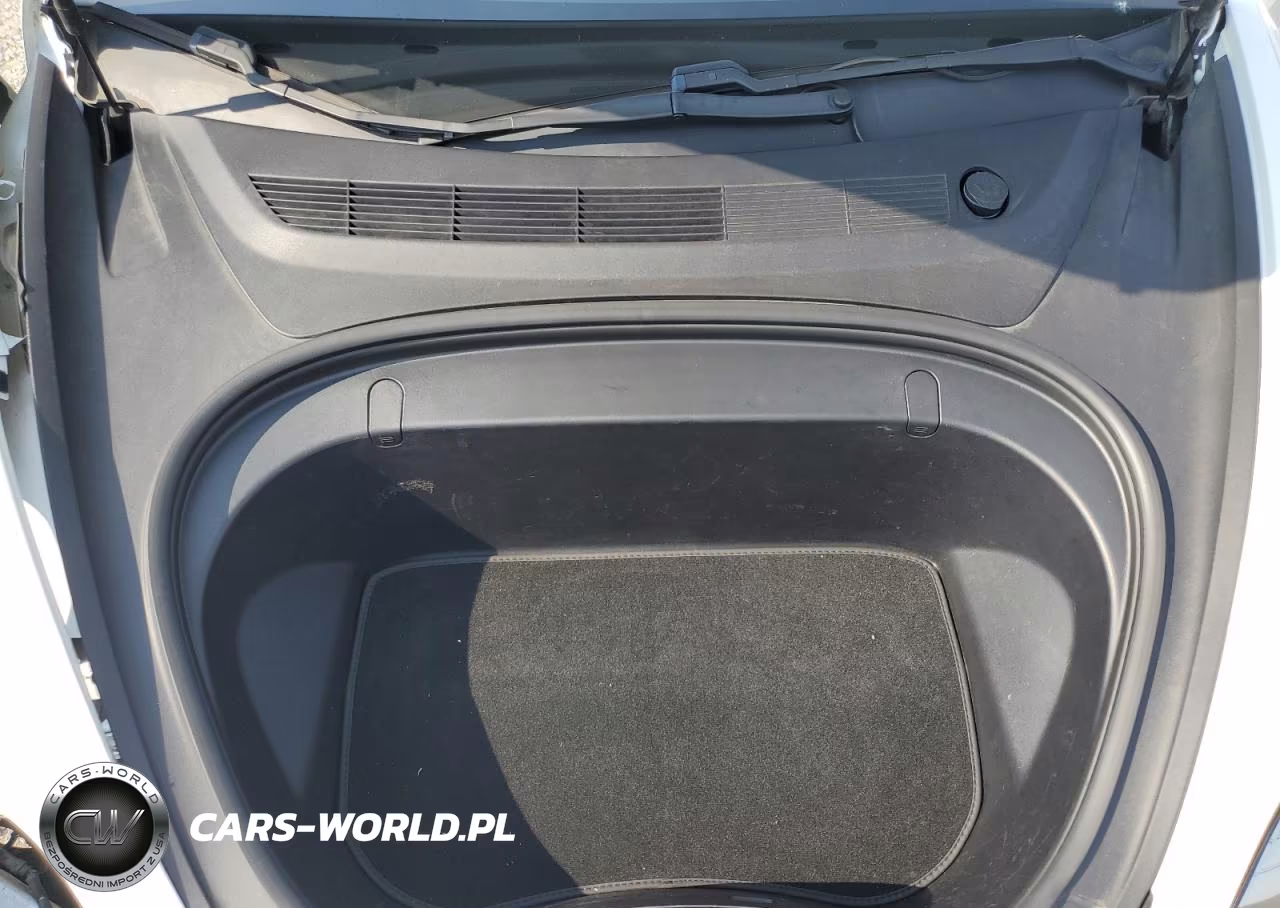 2019 Tesla Model 3 VIN:5YJ3E1EA5KF332994 - 11