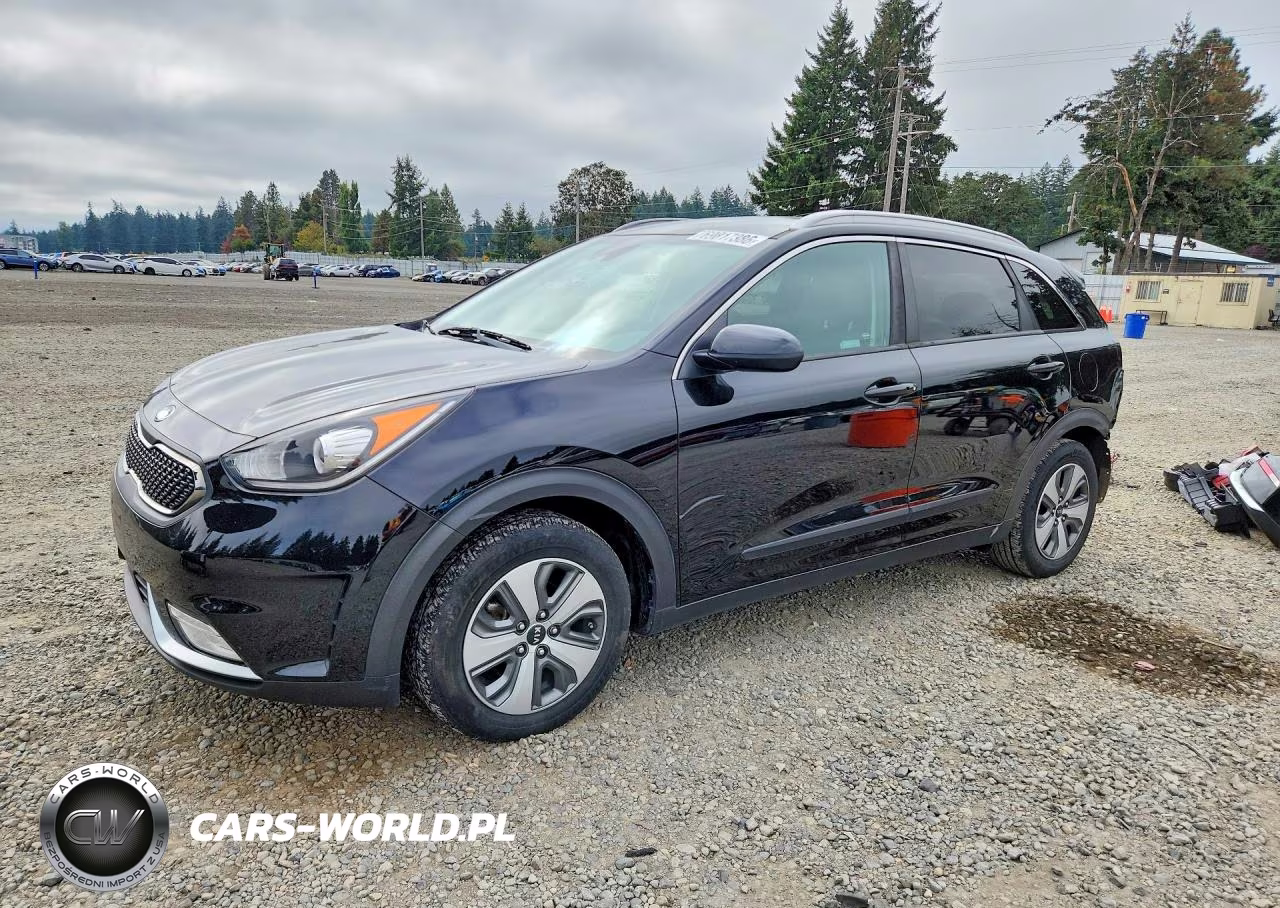 2019 Kia Niro Lx VIN:KNDCB3LCXK5258028 - 1