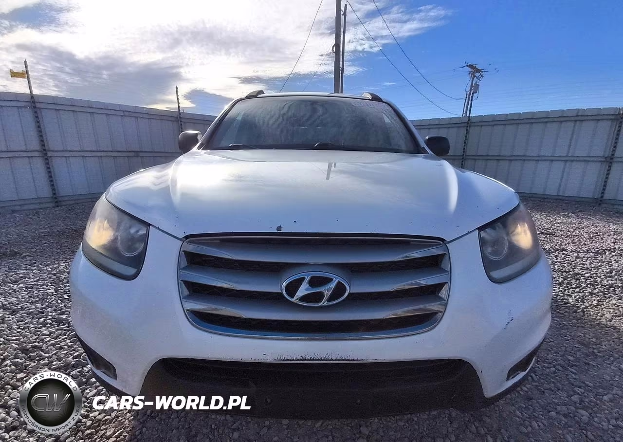 2012 Hyundai Santa Fe Gls VIN:5XYZGDAB0CG099993 - 5
