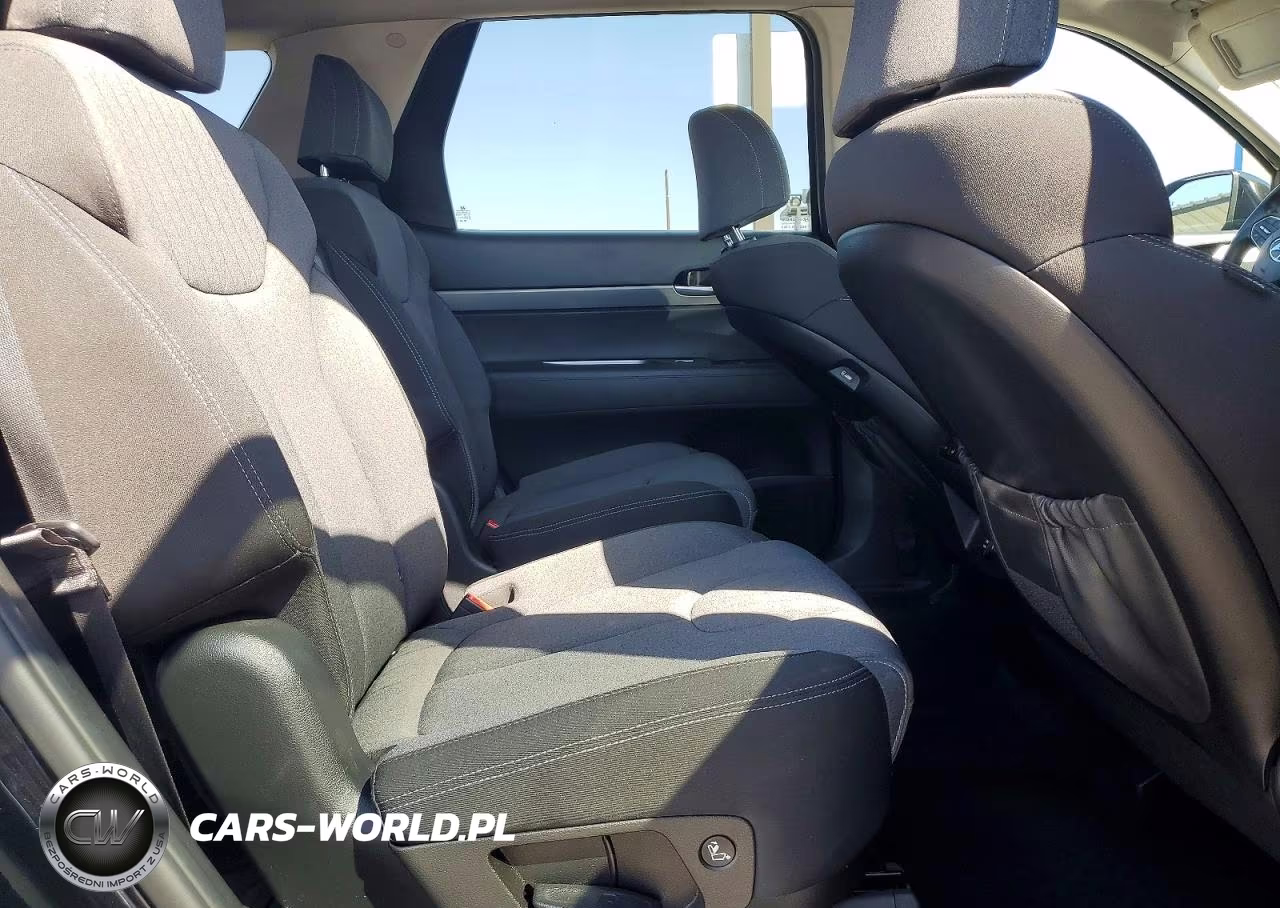 2021 Hyundai Palisade Sel VIN:KM8R24HEXMU316895 - 11
