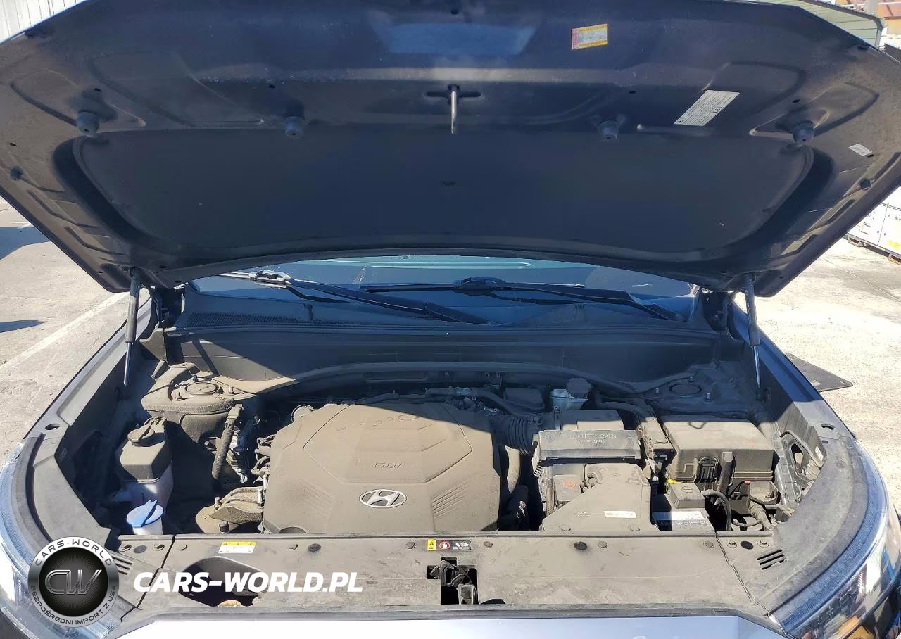 2021 Hyundai Palisade Sel VIN:KM8R24HEXMU316895 - 12