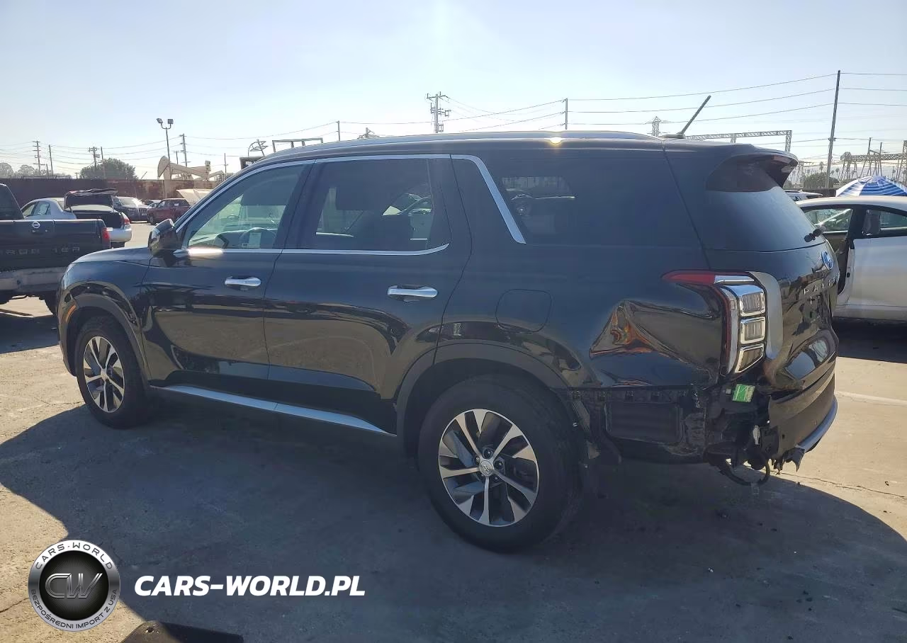 2021 Hyundai Palisade Sel VIN:KM8R24HEXMU316895 - 2